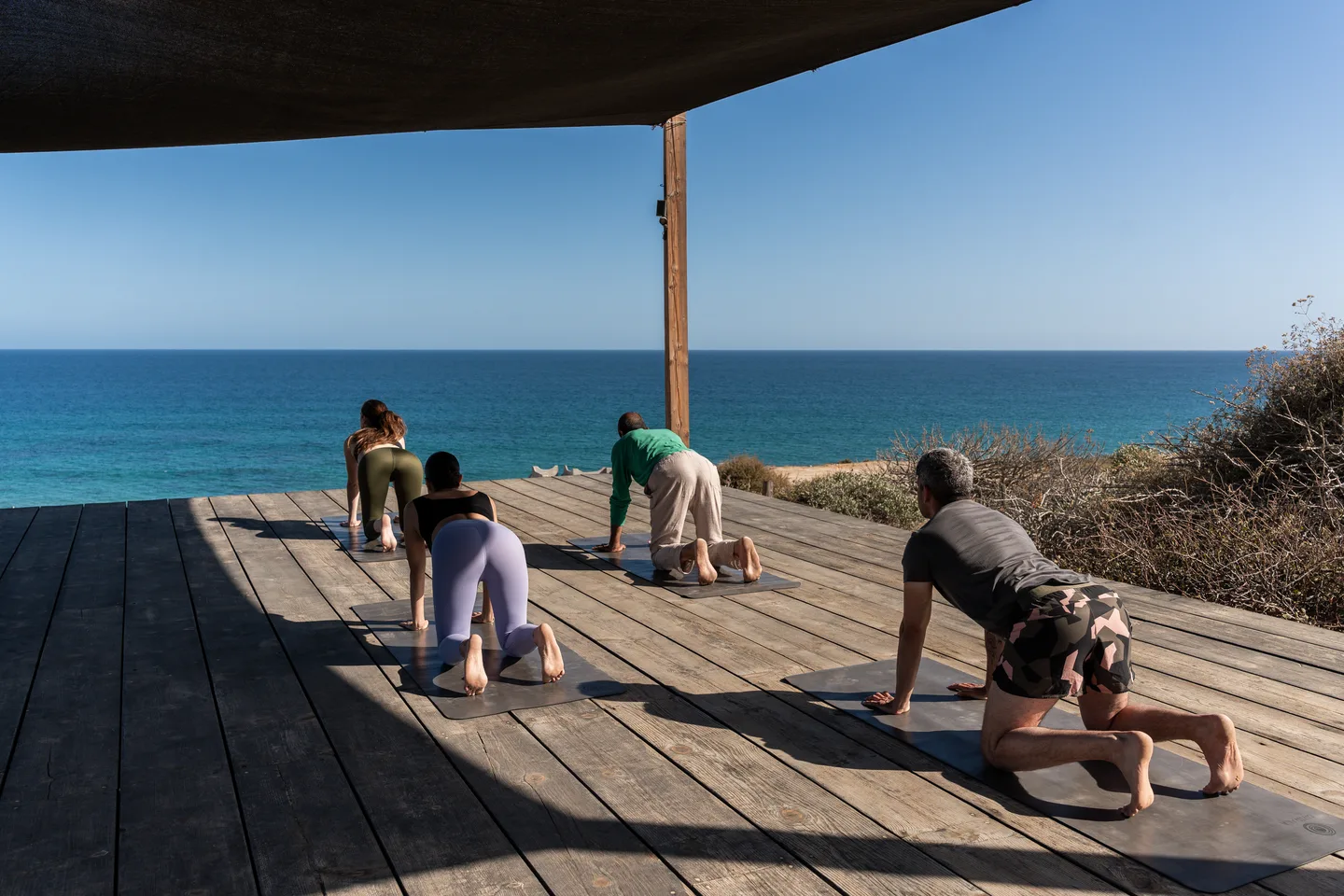 Group yoga class on the ocean-view deck — NEST Baja