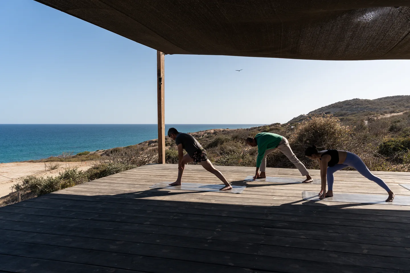 Guests in downward dog on the yoga deck above the sea — NEST Baja
